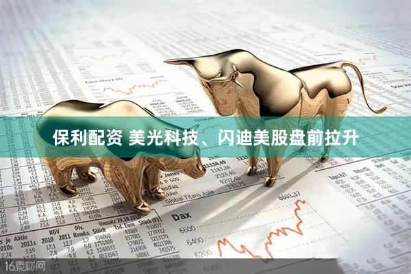 保利配资 美光科技、闪迪美股盘前拉升